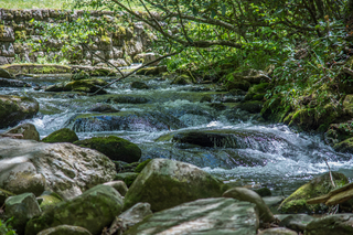 Filename=DSC_1943.jpg
Filesize=24991KiB
Dimensions=7122x4753
Date added=Sep 20, 2019 DSC_1943.jpg