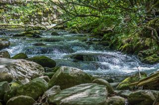 Filename=DSC_1944.jpg
Filesize=26205KiB
Dimensions=7239x4831
Date added=Sep 20, 2019 DSC_1944.jpg