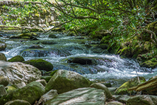 Filename=DSC_1945.jpg
Filesize=25772KiB
Dimensions=7009x4678
Date added=Sep 20, 2019 DSC_1945.jpg