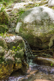 Filename=DSC_1947.jpg
Filesize=25019KiB
Dimensions=4407x6603
Date added=Sep 20, 2019 DSC_1947.jpg