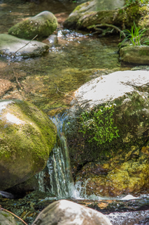 Filename=DSC_1948.jpg
Filesize=24071KiB
Dimensions=4678x7009
Date added=Sep 20, 2019 DSC_1948.jpg