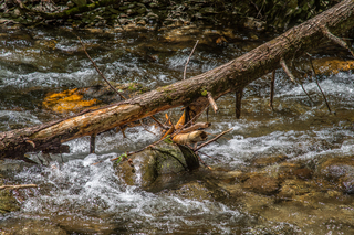 Filename=DSC_1950.jpg
Filesize=30605KiB
Dimensions=7360x4912
Date added=Sep 20, 2019 DSC_1950.jpg