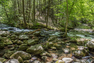 Filename=DSC_1951.jpg
Filesize=38917KiB
Dimensions=7360x4912
Date added=Sep 20, 2019 DSC_1951.jpg