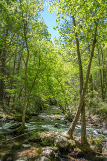 Filename=DSC_1952.jpg
Filesize=42487KiB
Dimensions=4912x7360
Date added=Sep 20, 2019 DSC_1952.jpg