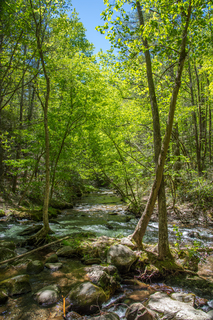 Filename=DSC_1953.jpg
Filesize=44727KiB
Dimensions=4912x7360
Date added=Sep 20, 2019 DSC_1953.jpg