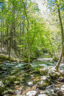 Filename=DSC_1954.jpg
Filesize=41564KiB
Dimensions=4912x7360
Date added=Sep 20, 2019 DSC_1954.jpg