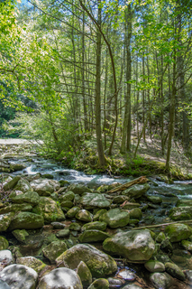 Filename=DSC_1955.jpg
Filesize=38255KiB
Dimensions=4912x7360
Date added=Sep 20, 2019 DSC_1955.jpg