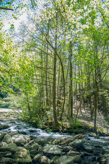 Filename=DSC_1956.jpg
Filesize=39957KiB
Dimensions=4912x7360
Date added=Sep 20, 2019 DSC_1956.jpg