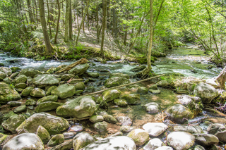 Filename=DSC_1957.jpg
Filesize=39430KiB
Dimensions=7360x4912
Date added=Sep 20, 2019 DSC_1957.jpg