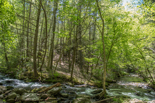 Filename=DSC_1958.jpg
Filesize=42890KiB
Dimensions=7360x4912
Date added=Sep 20, 2019 DSC_1958.jpg