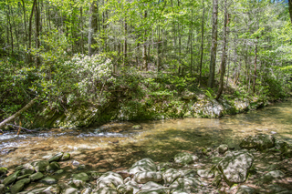 Filename=DSC_1959.jpg
Filesize=43082KiB
Dimensions=7360x4912
Date added=Sep 20, 2019 DSC_1959.jpg