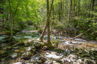 Filename=DSC_1960.jpg
Filesize=39446KiB
Dimensions=7360x4912
Date added=Sep 20, 2019 DSC_1960.jpg