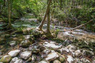 Filename=DSC_1961.jpg
Filesize=28866KiB
Dimensions=6903x4607
Date added=Sep 20, 2019 DSC_1961.jpg