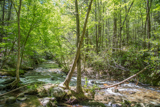 Filename=DSC_1962.jpg
Filesize=43892KiB
Dimensions=7360x4912
Date added=Sep 20, 2019 DSC_1962.jpg