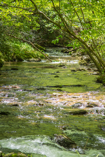 Filename=DSC_1963.jpg
Filesize=28899KiB
Dimensions=4678x7009
Date added=Sep 20, 2019 DSC_1963.jpg