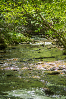 Filename=DSC_1964.jpg
Filesize=32248KiB
Dimensions=4912x7360
Date added=Sep 20, 2019 DSC_1964.jpg