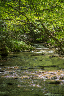 Filename=DSC_1965.jpg
Filesize=28152KiB
Dimensions=4753x7122
Date added=Sep 20, 2019 DSC_1965.jpg