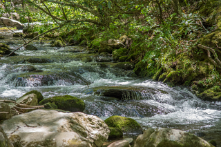 Filename=DSC_1966.jpg
Filesize=27816KiB
Dimensions=7360x4912
Date added=Sep 20, 2019 DSC_1966.jpg