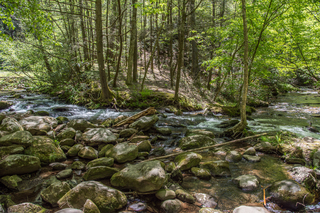 Filename=DSC_1968.jpg
Filesize=37735KiB
Dimensions=7360x4912
Date added=Sep 20, 2019 DSC_1968.jpg