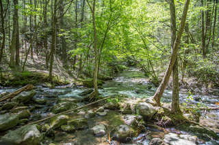 Filename=DSC_1969.jpg
Filesize=34182KiB
Dimensions=7360x4912
Date added=Sep 20, 2019 DSC_1969.jpg