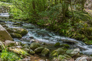 Filename=DSC_1970.jpg
Filesize=25930KiB
Dimensions=6603x4407
Date added=Sep 20, 2019 DSC_1970.jpg