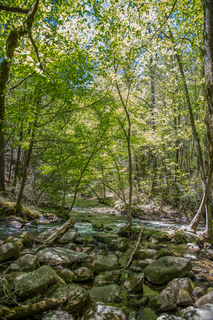 Filename=DSC_1974.jpg
Filesize=37433KiB
Dimensions=4912x7360
Date added=Sep 20, 2019 DSC_1974.jpg