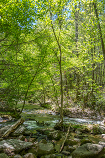 Filename=DSC_1975.jpg
Filesize=43373KiB
Dimensions=4912x7360
Date added=Sep 20, 2019 DSC_1975.jpg