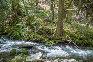 Filename=DSC_1977.jpg
Filesize=33746KiB
Dimensions=7360x4912
Date added=Sep 20, 2019 DSC_1977.jpg