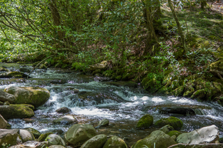 Filename=DSC_1978.jpg
Filesize=29038KiB
Dimensions=7360x4912
Date added=Sep 20, 2019 DSC_1978.jpg