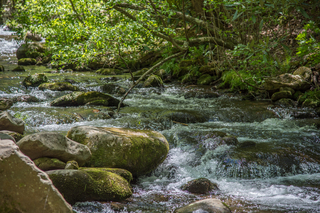 Filename=DSC_1980.jpg
Filesize=28060KiB
Dimensions=7360x4912
Date added=Sep 20, 2019 DSC_1980.jpg