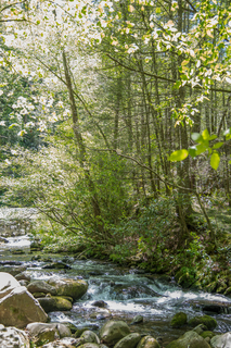 Filename=DSC_1982.jpg
Filesize=33305KiB
Dimensions=4753x7122
Date added=Sep 20, 2019 DSC_1982.jpg