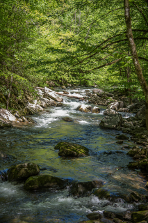 Filename=DSC_1988.jpg
Filesize=32242KiB
Dimensions=4912x7360
Date added=Sep 20, 2019 DSC_1988.jpg