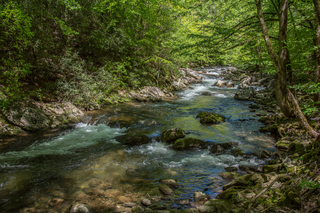 Filename=DSC_1994.jpg
Filesize=37864KiB
Dimensions=7360x4912
Date added=Sep 20, 2019 DSC_1994.jpg