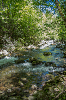 Filename=DSC_1995.jpg
Filesize=36615KiB
Dimensions=4912x7360
Date added=Sep 20, 2019 DSC_1995.jpg