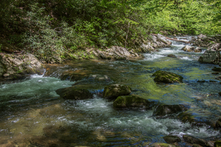 Filename=DSC_1998.jpg
Filesize=26376KiB
Dimensions=6700x4472
Date added=Sep 20, 2019 DSC_1998.jpg