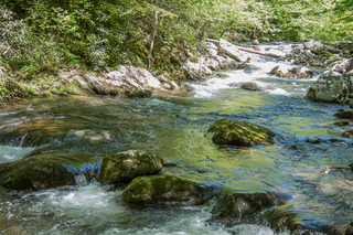 Filename=DSC_1999.jpg
Filesize=26801KiB
Dimensions=6603x4407
Date added=Sep 20, 2019 DSC_1999.jpg