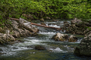 Filename=DSC_2000.jpg
Filesize=24535KiB
Dimensions=7009x4678
Date added=Sep 20, 2019 DSC_2000.jpg