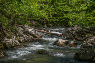 Filename=DSC_2001.jpg
Filesize=26728KiB
Dimensions=6799x4538
Date added=Sep 20, 2019 DSC_2001.jpg