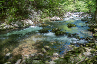 Filename=DSC_2002.jpg
Filesize=30762KiB
Dimensions=7360x4912
Date added=Sep 20, 2019 DSC_2002.jpg