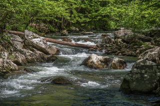 Filename=DSC_2003.jpg
Filesize=24464KiB
Dimensions=7122x4753
Date added=Sep 20, 2019 DSC_2003.jpg