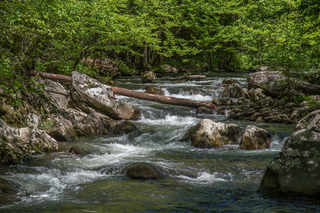 Filename=DSC_2004.jpg
Filesize=27750KiB
Dimensions=7239x4831
Date added=Sep 20, 2019 DSC_2004.jpg