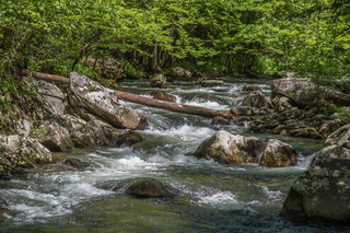 Filename=DSC_2005.jpg
Filesize=26184KiB
Dimensions=6903x4607
Date added=Sep 20, 2019 DSC_2005.jpg