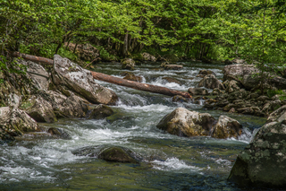 Filename=DSC_2006.jpg
Filesize=24633KiB
Dimensions=6700x4472
Date added=Sep 20, 2019 DSC_2006.jpg