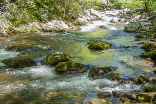 Filename=DSC_2010.jpg
Filesize=26320KiB
Dimensions=7009x4678
Date added=Sep 20, 2019 DSC_2010.jpg