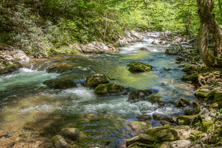 Filename=DSC_2011.jpg
Filesize=30732KiB
Dimensions=6903x4607
Date added=Sep 20, 2019 DSC_2011.jpg