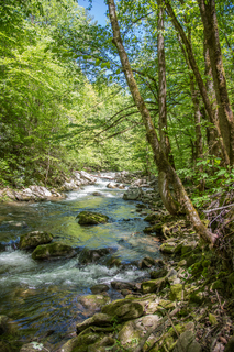 Filename=DSC_2012.jpg
Filesize=40214KiB
Dimensions=4912x7360
Date added=Sep 20, 2019 DSC_2012.jpg