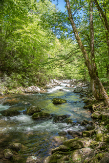 Filename=DSC_2013.jpg
Filesize=40214KiB
Dimensions=4912x7360
Date added=Sep 20, 2019 DSC_2013.jpg