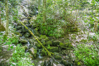 Filename=DSC_2016.jpg
Filesize=37156KiB
Dimensions=7360x4912
Date added=Sep 20, 2019 DSC_2016.jpg