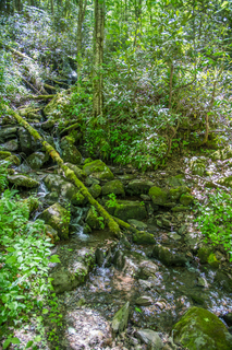 Filename=DSC_2018.jpg
Filesize=34495KiB
Dimensions=4912x7360
Date added=Sep 20, 2019 DSC_2018.jpg