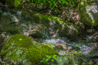 Filename=DSC_2019.jpg
Filesize=29773KiB
Dimensions=7360x4912
Date added=Sep 20, 2019 DSC_2019.jpg